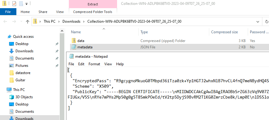 example: metadata.json