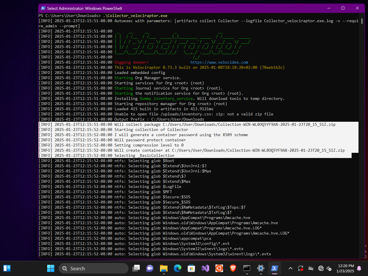 Running the Offline Collector in the console