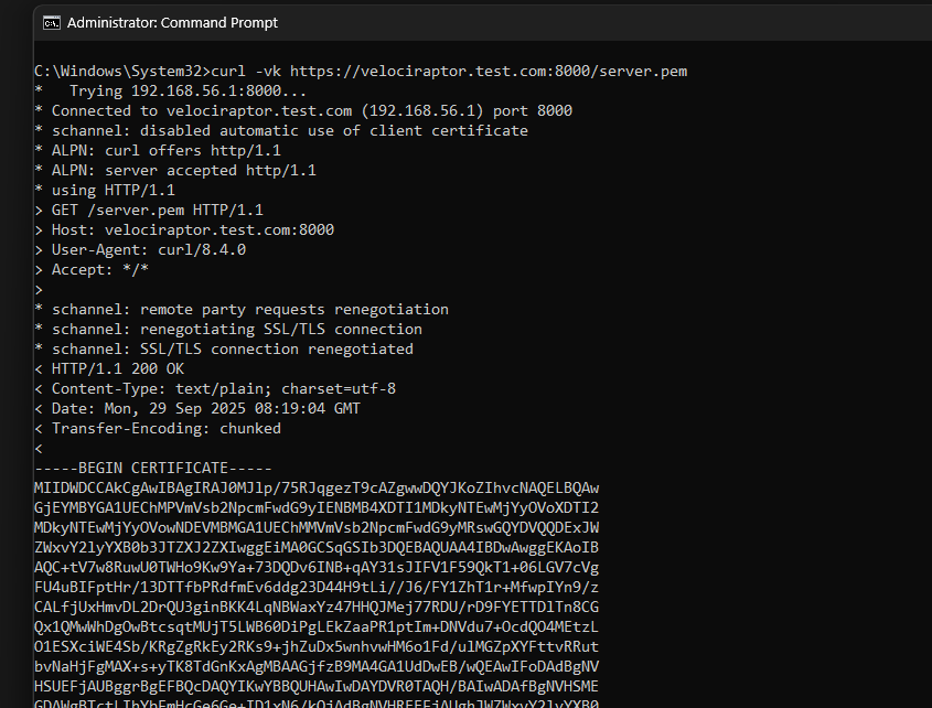 Fetching the server certificate
